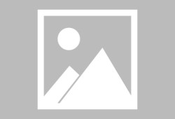 PG电子四大神兽官方主题作品的文化意蕴与休闲体验解析